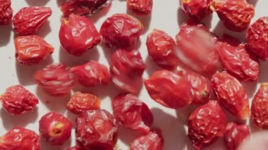 Rosa Canina ya da Rubiginosa böğürtlen görüntüsü. Beyaz yüzey videosundaki tatlı-brier meyveleri, gül gülü kalçası veya gül kalçası, ayrıca gül haw ve gül hepti olarak da bilinir, gül bitkisinin aksesuar meyvesi..