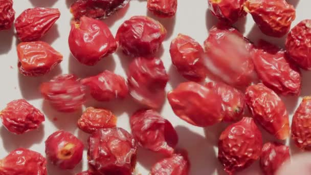 Rosa canina of rubiginosa bessen beelden. Droge vruchten van zoete brier op wit oppervlak video, bruyère roos heup of rozenbottel, ook wel rozenbottel en rozenbottel, de accessoire fruit van rozenbottel. — Stockvideo