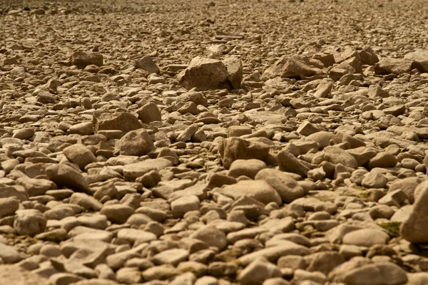 El lecho seco del río en verano — Foto de Stock