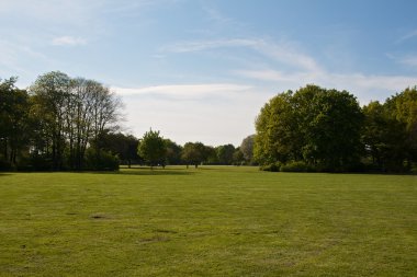 Bir erken yaz akşamı Park çayır