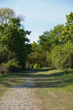 Eski bir Parkway cobblestones ile