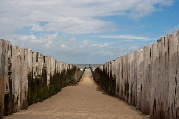 Wellenbrecher in der Nordsee Stockfoto