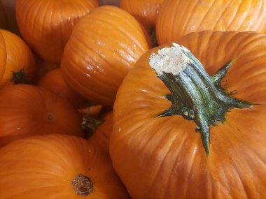 Sepetteki balkabaklarının yakın görüntüsü