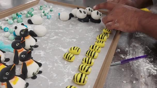 Chef Indiano Fazendo Pinguins Mel Abelha Panda Fora Fondant Rolamento — Vídeo de Stock