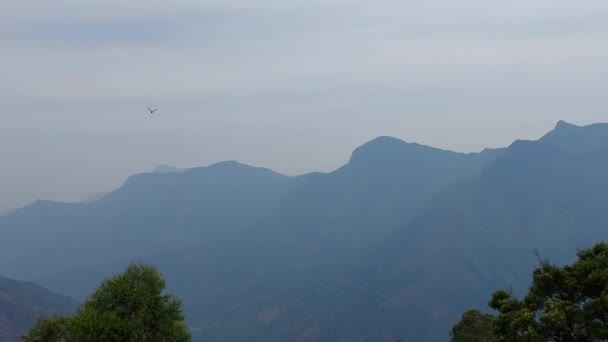 Uma Vista Ponto Vista Caminho Kerala Munnar Destino Turístico Famoso — Vídeo de Stock