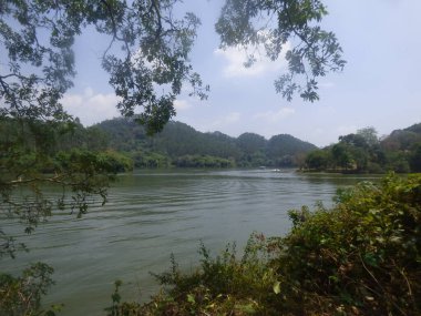 Idukki kerala Hindistan 'dan Sengulam Barajı manzarası