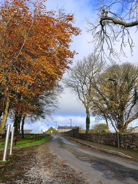 Ένας Άδειος Δρόμος Στην Ιρλανδία Ανάμεσα Στους Θάμνους Κατά Διάρκεια — Φωτογραφία Αρχείου