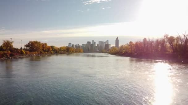 Aerial River Flight Trees Autumn Colours Bow River Facing Downtown — Stock Video