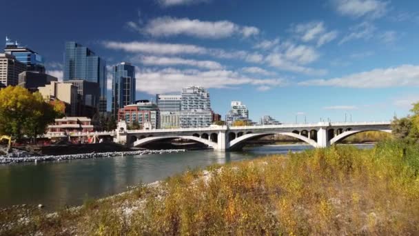 加拿大卡尔加里艾伯塔省 2021年10月1日 秋天的树木在弓形河流和中央街道桥上的空中飘扬 — 图库视频影像