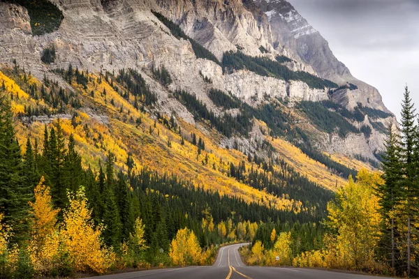 秋天加拿大班夫国家公园的冰原大道 — 图库照片