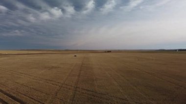 Alberta bozkırlarında hasat edilen buğday tarlası boyunca bir ATV 'nin hava takibi.