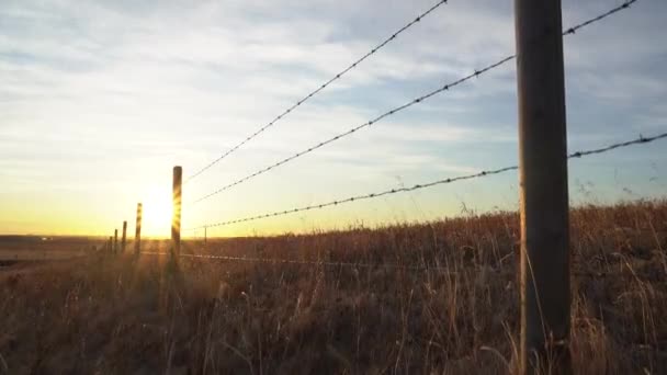 Drohnenflug Über Einem Stacheldrahtzaun Bei Sonnenaufgang Über Den Kanadischen Prärien — Stockvideo