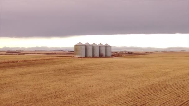 Вид Воздуха Зернохранилища Содержащие Собранную Пшеницу Канадских Прериях — стоковое видео