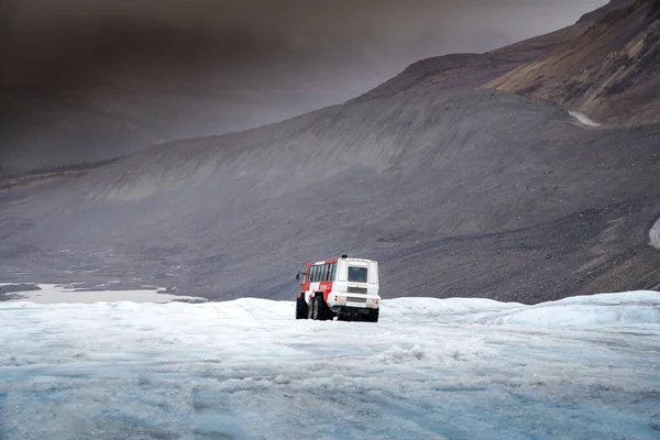 Банф Альберта Канада Сентября 2021 Автобус Ice Explorer Специальными Шинами — стоковое фото
