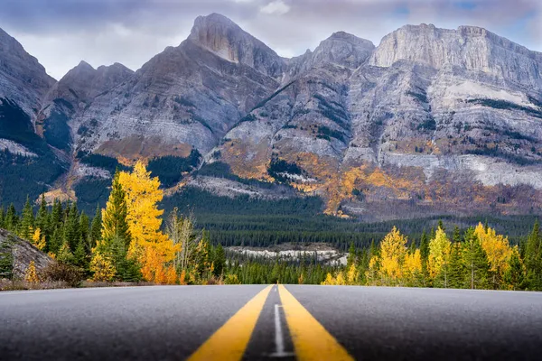 Highway Pitkin Icefields Parkway Syksyllä Värit Kanadan Kalliovuoret — kuvapankkivalokuva