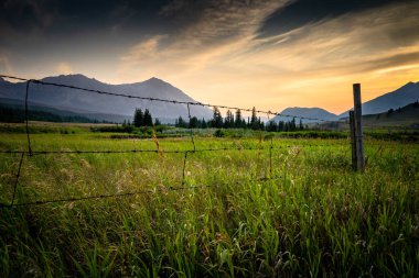Crowsnest Pass Alberta Canada 'da gün batımında çalışan bir çiftlikte çit..