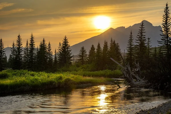 Crowsnest River Trout Stream Alberta Canada — Stock Photo, Image