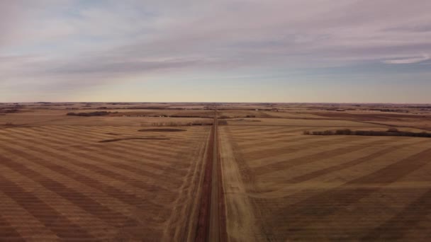 Letecký Pohled Sklizená Pole Okresní Silnici Kanadských Prairies — Stock video