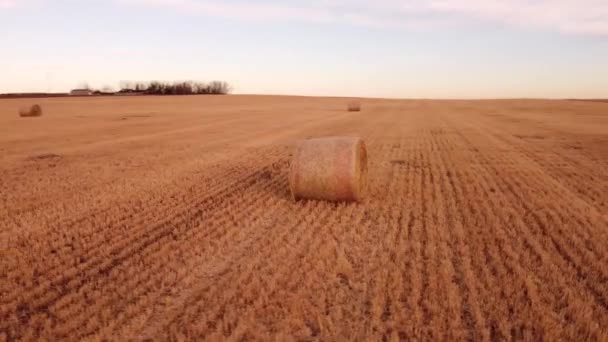 カナダの草原の丸い干し草の俵の周りの速い空中スピン — ストック動画
