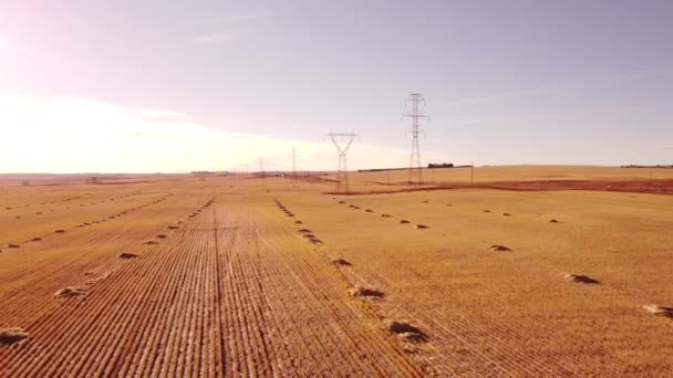 Tiro Aéreo Longo Campo Colhido Torres Transmissão Nas Pradarias Canadenses — Vídeo de Stock