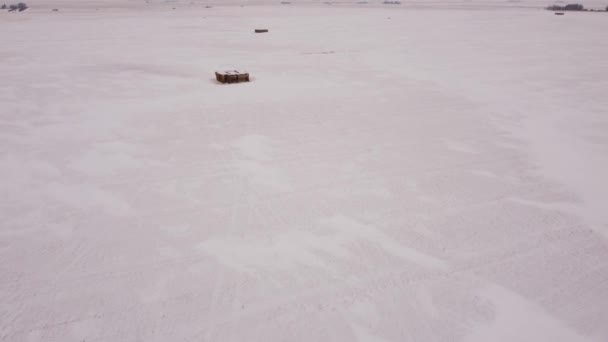 Luchtfoto Tilt Onthullen Van Een Wintertarweveld Met Hooibergen Alberta Canada — Stockvideo