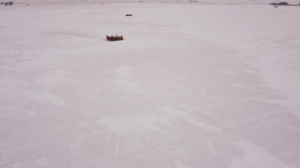 Aerial Tilt Reveal Winter Wheat Field Hay Stacks Alberta Canada — Stock Video