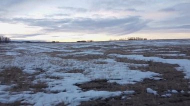 Alçak hava akımı Alberta Kanada 'daki bir buğday tarlasında uçtuğunu gösteriyor..