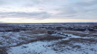 Alberta ovalarında bahar mevsimi boyunca sabah çayırlarında yüksek hava dönüşleri..