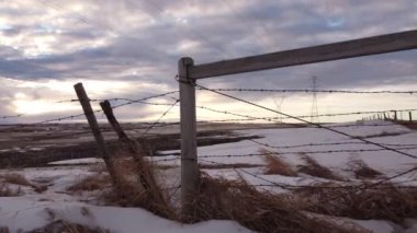 Dikenli tellerin hava takibi ve Alberta bozkırlarındaki uzak elektrik hatları..