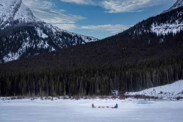 加拿大艾伯塔省Peter Lougheed省立公园 一队狗拉雪橇穿过喷水湖 — 图库照片