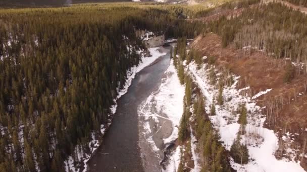 Hög Antenn Flod Och Skog Flygning Alberta Kanada — Stockvideo