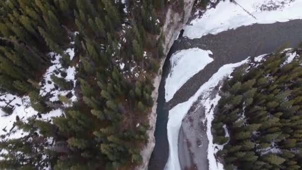 Alberta Kanada Yüksek Hava Nehri Orman Uçuşu — Stok video