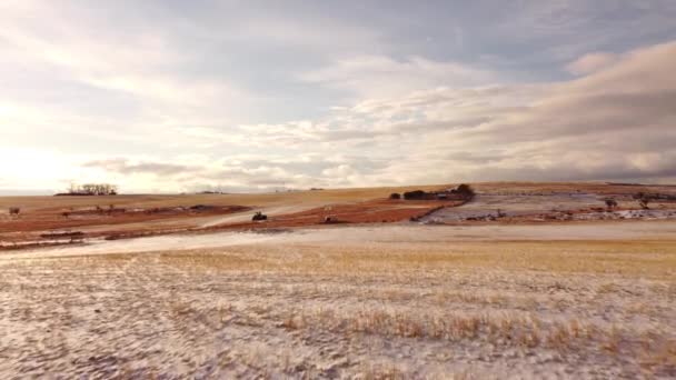 Luchtvlucht Landbouwvelden Weiden Noord Amerikaanse Prairies Onder Een Dramatische Hemel — Stockvideo