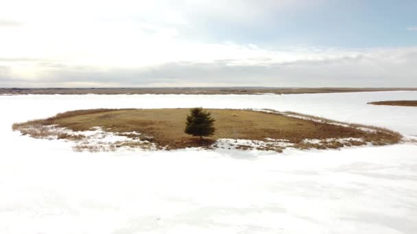 在加拿大一个被冰冻湖水环绕的草原岛上 空中盘旋着一棵孤零零的树 — 图库视频影像