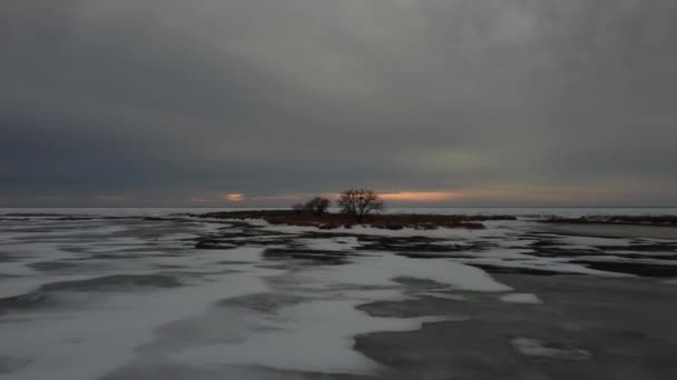 加拿大艾伯塔省北部一个荒岛上一棵孤树的空中跟踪飞行 岛上有冰冻的冻土带 — 图库视频影像