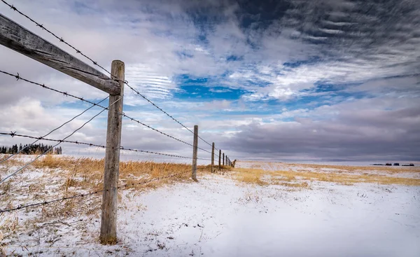 A barbed wire fence and fence posts on the Canadian prairies under a morning sky in Rocky View County Alberta.