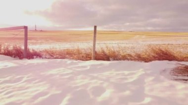 Rockyview County Alberta Kanada 'da gündoğumunun yanı sıra çayır çitleri ve eski gaz çitleri boyunca hareketli çekim