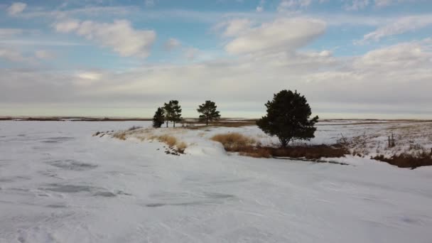Letecký Odlet Izolovaných Borovic Zamrzlém Břehu Jezera Newell County Alberta — Stock video