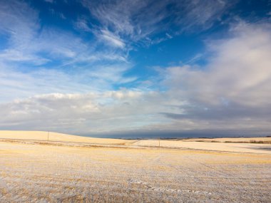 Rocky Vilayeti Alberta Kanada 'da, bulutlu ve dramatik bir gökyüzünün altında toplanmış bir tarlada altın ekin sakalı olan Kanada bozkırları sahnesi.