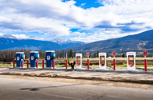 Jasper Alberta Canada, 27 Eylül 2021: Bir yol boyunca bir inşaat işçisi tarafından elektrik yükleme istasyonları kuruluyor.