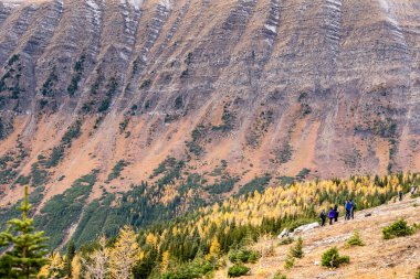 Kananaskis Alberta Canada, 11 Ekim 2021: Banff yakınlarındaki Kanada Kayalıkları 'nda sonbahar renklerinde bir dağ vadisine ve karaçam ağaçlarına bakan bir grup turist.