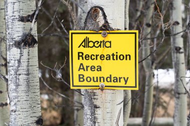 Kananaskis Alberta Canada, Nisan 02 2022: YTD 'nin parkında bir ağaca çivilenmiş park tabelası.