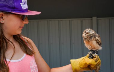 Coaldale Alberta Kanada, 23 Temmuz 2021: Yırtıcı Kuş Merkezi 'nde elinde bir baykuş yuvası tutan genç bir çocuk.