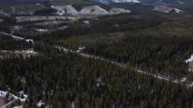 Aerial flight over sustainable harvested cut blocks for the logging industry with saplings planted by tree planters in the Canadian Rocky Mountains.