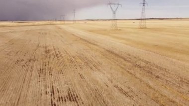 Alberta ovalarında aktarma kuleleri ve elektrik hatları olan hasat edilmiş buğday tarlasının üzerinde havadan yükselme.