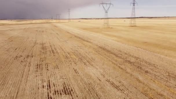 Hoogte Boven Een Geoogst Tarweveld Met Zendmasten Nutsvoorzieningen Alberta Prairies — Stockvideo