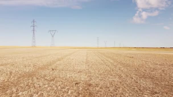 Low Aerial Flight Harvested Wheat Field Transmission Towers Utility Lines — Vídeos de Stock