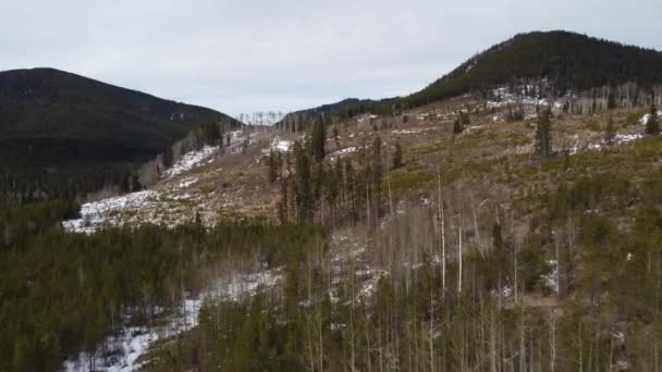Aerial flight over a harvested cut block used for logging with trees planted by tree planters in the Canadian Rocky Mountains.