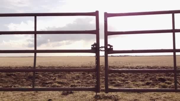 Tracking Motion Metal Gate Sunrise Harvested Wheat Field Rocky View — Wideo stockowe