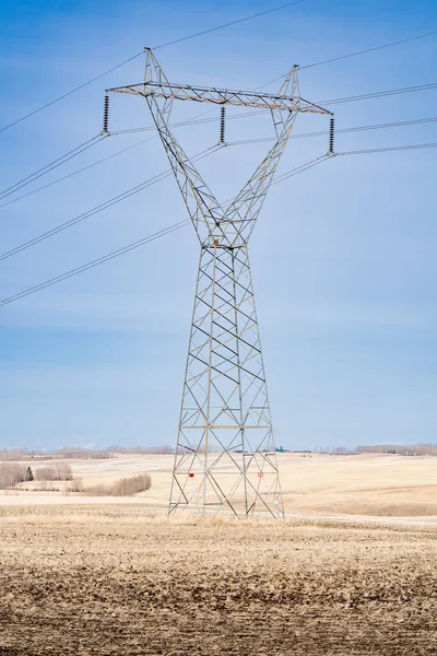 Ein Großer Strommast Aus Metall Der Hoch Auf Einem Abgeernteten — Stockfoto